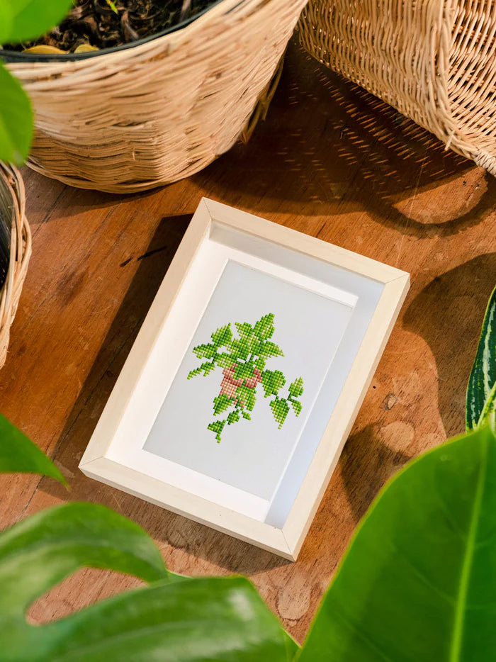 Set of 12 Plants A - Mini Diamond Painting Kit