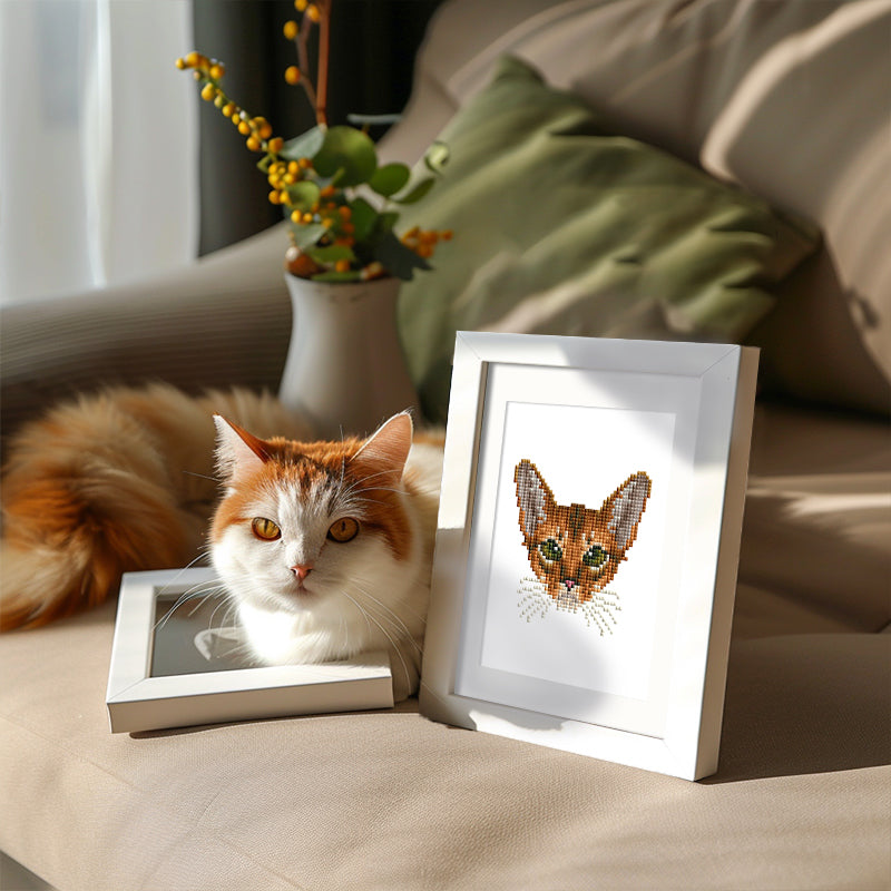 Set of 4 Cats - Mini Diamond Painting Kit