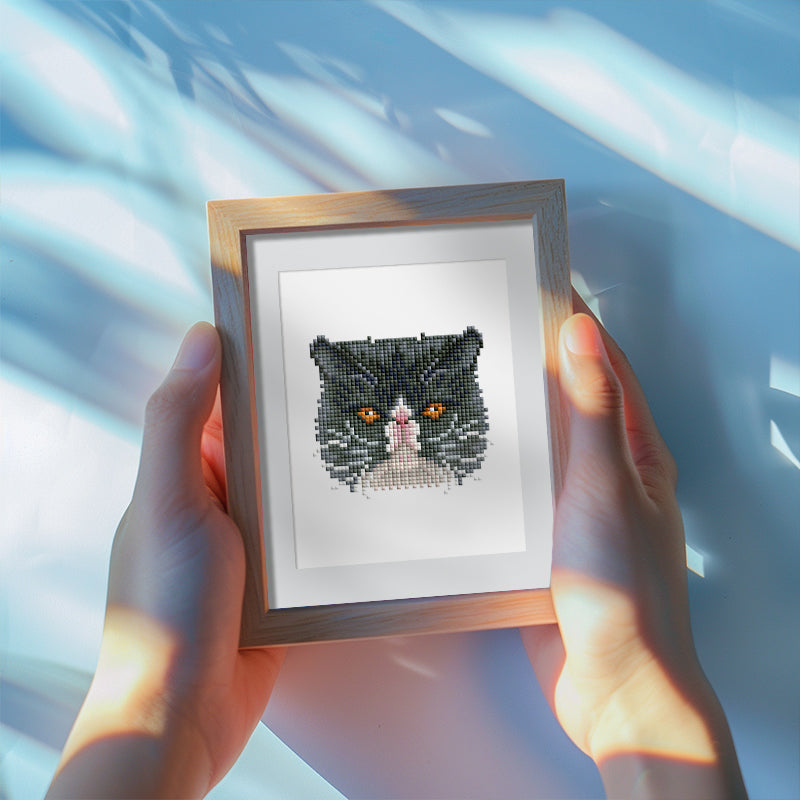 Set of 4 Cats - Mini Diamond Painting Kit