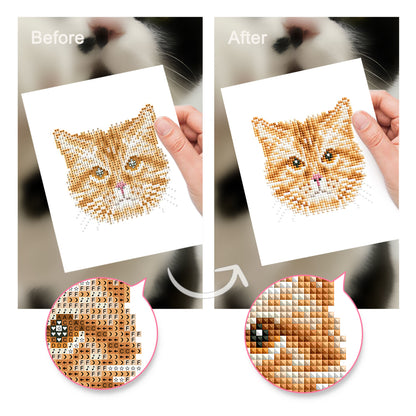 Set of 4 Cats - Mini Diamond Painting Kit