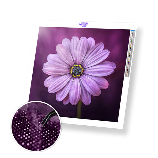 Purple Daisy - Diamond Painting Kit