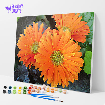 Orange Gerbera - Paint By Numbers Kit