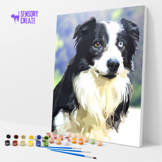 Border Collie - Paint By Numbers Kit