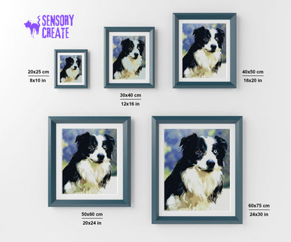 Border Collie - Diamond Painting Kit