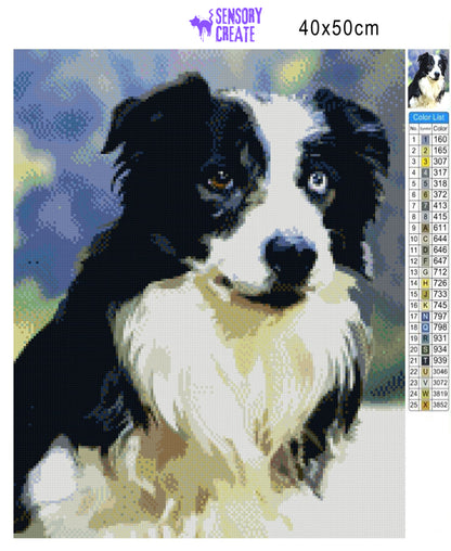 Border Collie - Diamond Painting Kit