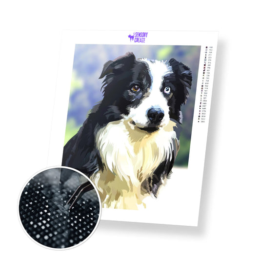 Border Collie - Diamond Painting Kit