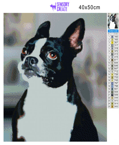 Boston Terrier - Diamond Painting Kit