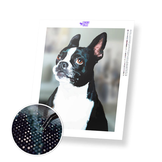 Boston Terrier - Diamond Painting Kit