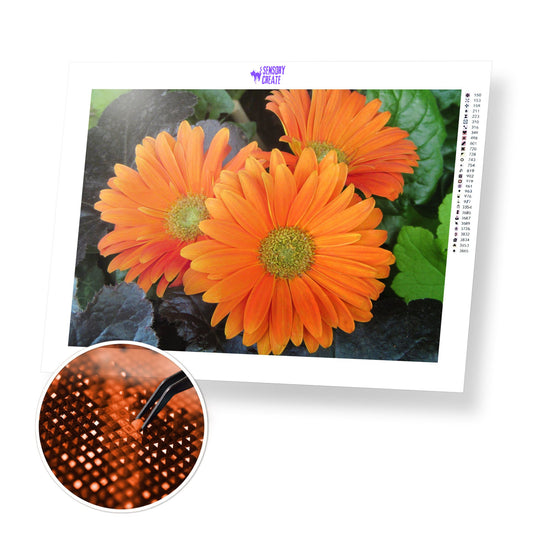 Orange Gerbera - Diamond Painting Kit