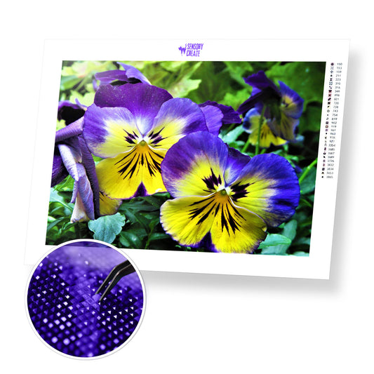 Purple Pansy - Diamond Painting Kit